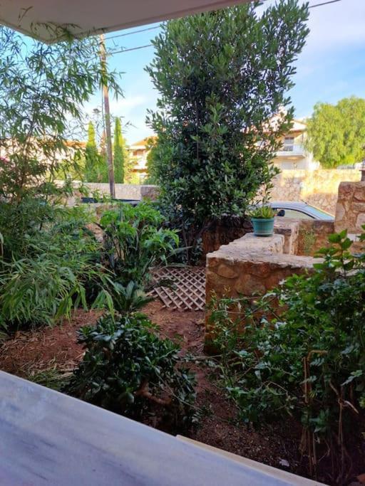 Korais Apartment, Chania Crete Kounoupidhianá 外观 照片