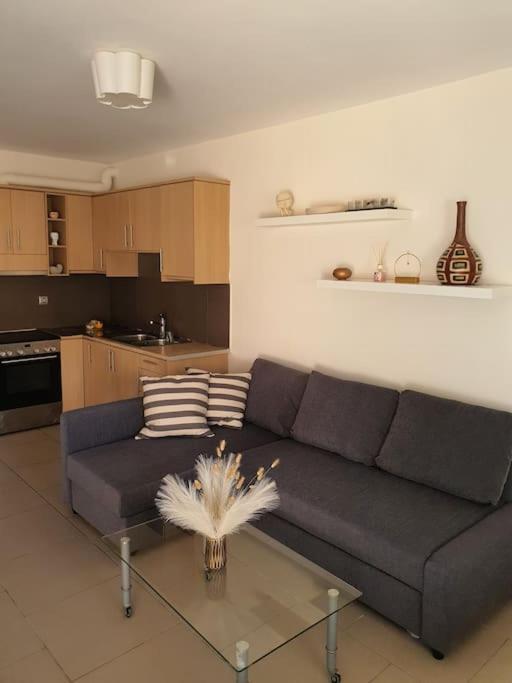 Korais Apartment, Chania Crete Kounoupidhianá 外观 照片